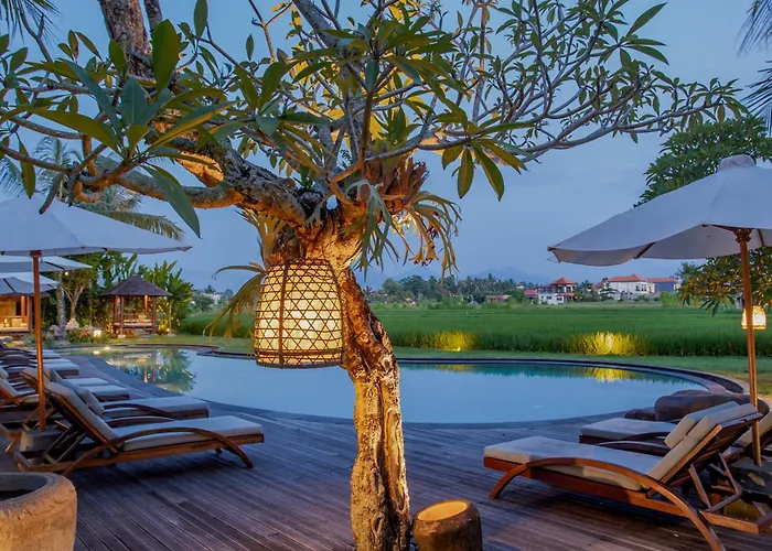 Arya Hotel 4*